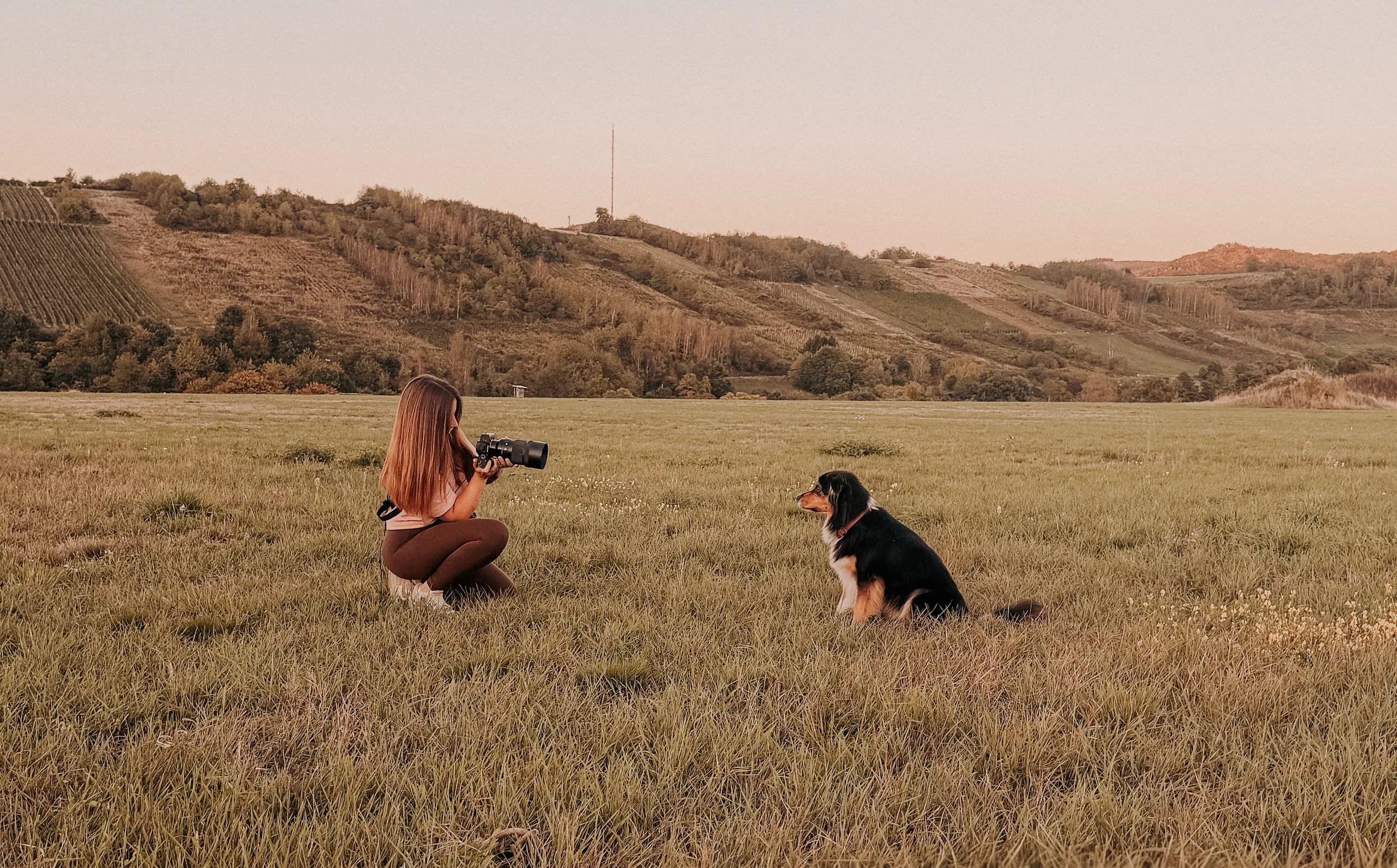 Fotografin kniet in der Wiese und fotografiert einen sitzenden Hund im Abendlicht